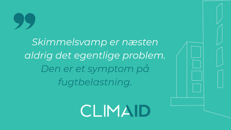 Citatkort med teksten »Skimmelsvamp er næsten aldrig det egentlige problem. Den er et symptom på fugtbelastning.«
